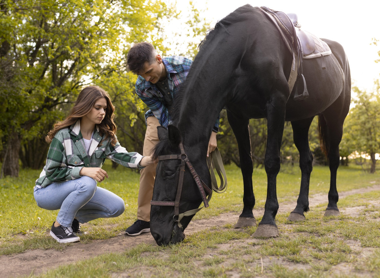 Caballo. Foto Freepik