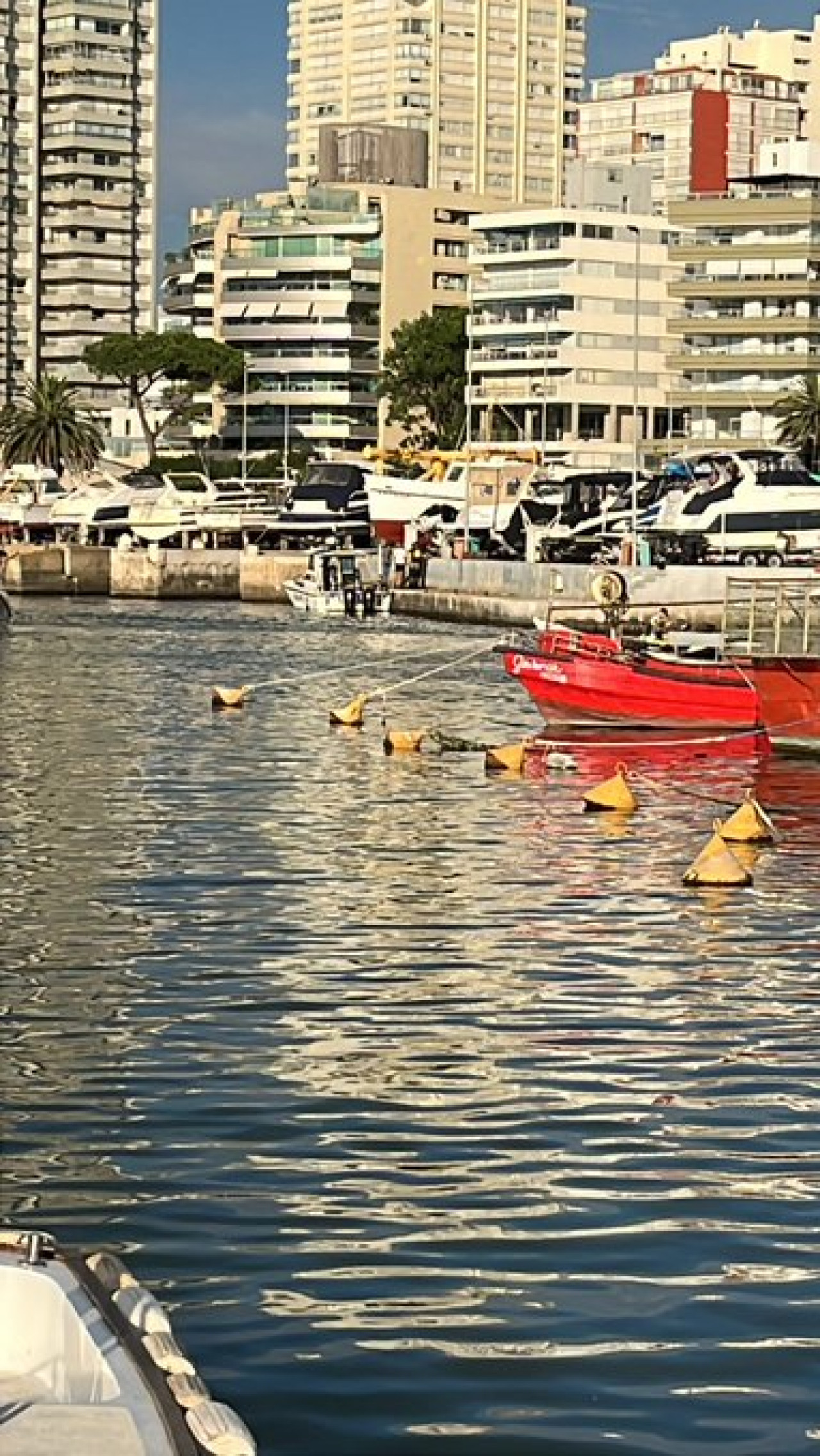 Encuentran al argentino que desapareció en Punta del Este. Foto X @vlarrosab25