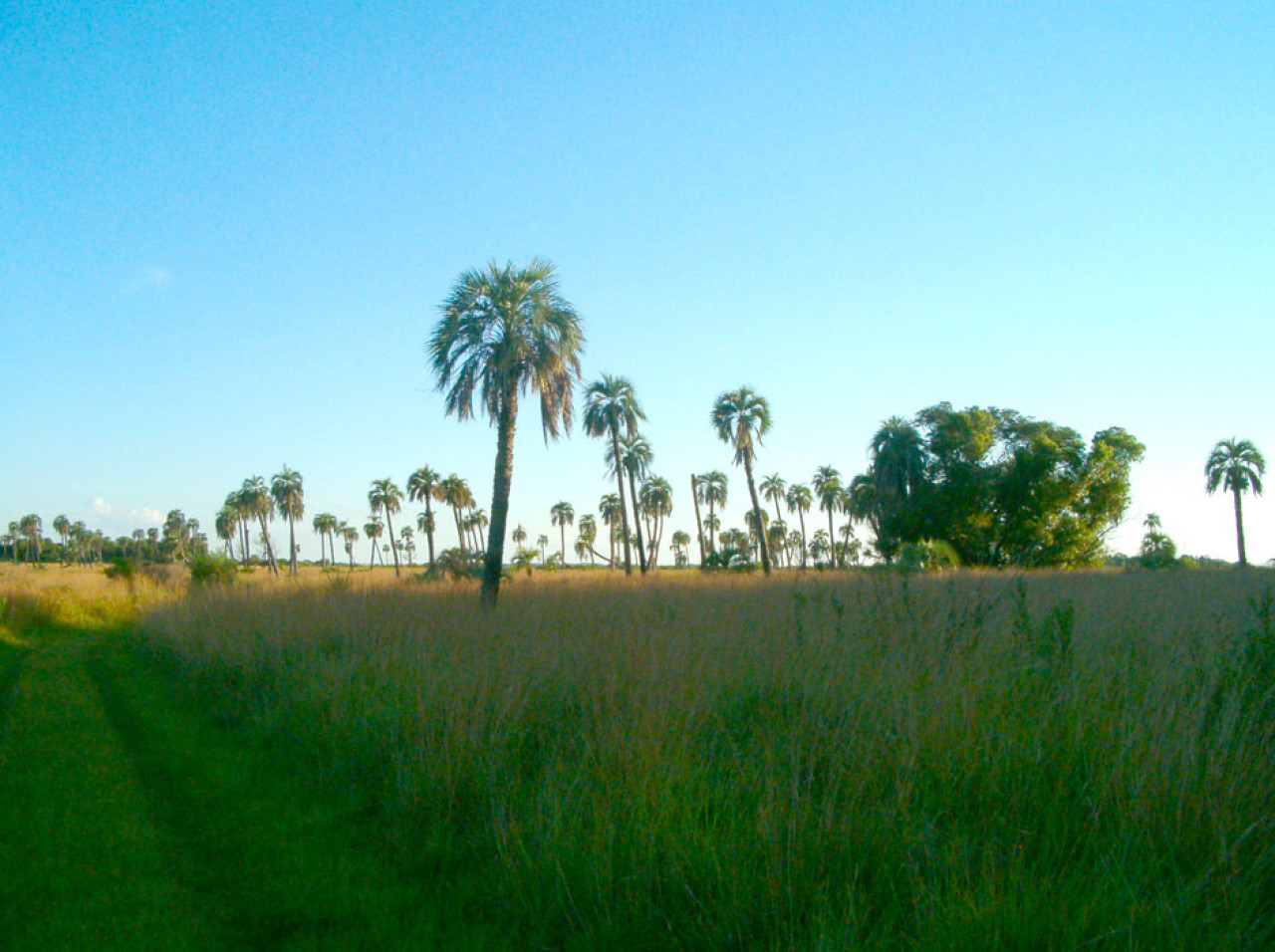 Parque Nacional Mburucuyá. Foto: Turismo en Corrientes.