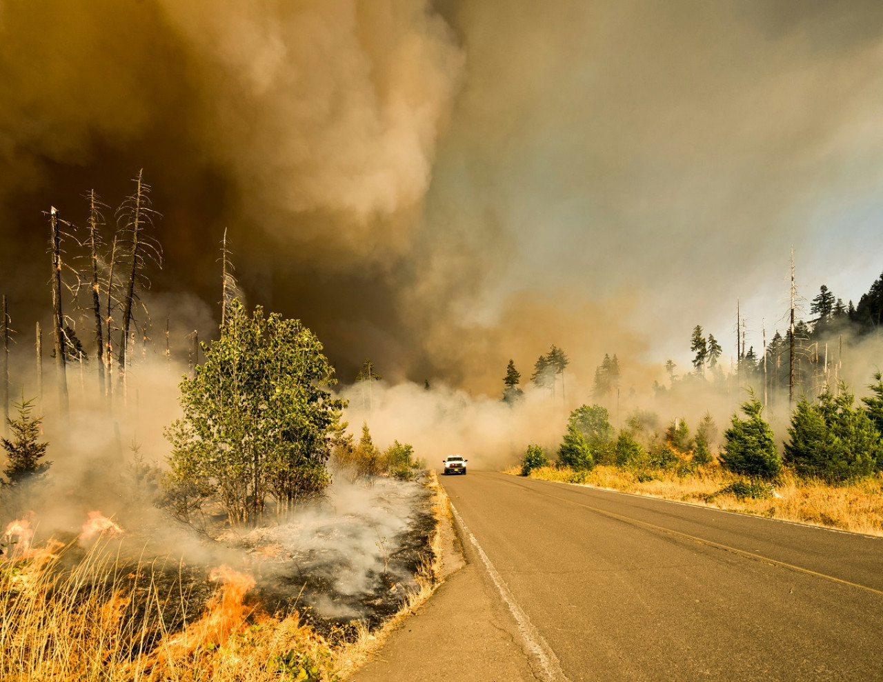 Catástrofes naturales; incendios. Foto: Unsplash.