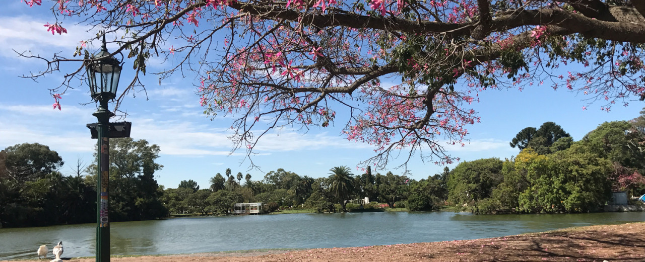 Bosques de Palermo. Foto Gobierno de la Ciudad