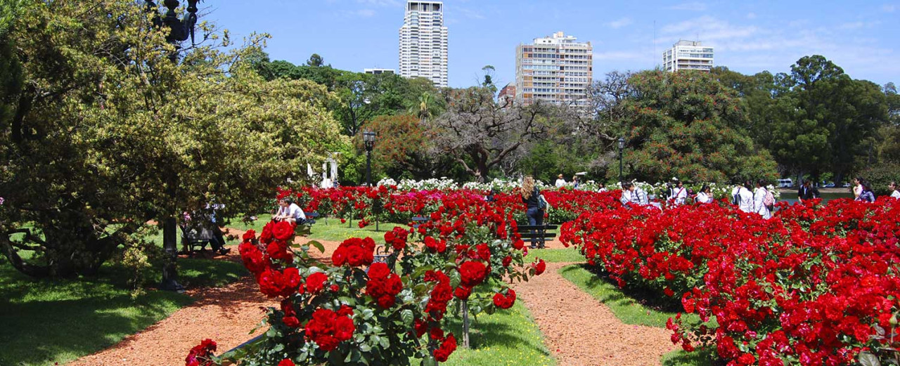 El Rosedal de Palermo. Foto Gobierno de la Ciudad