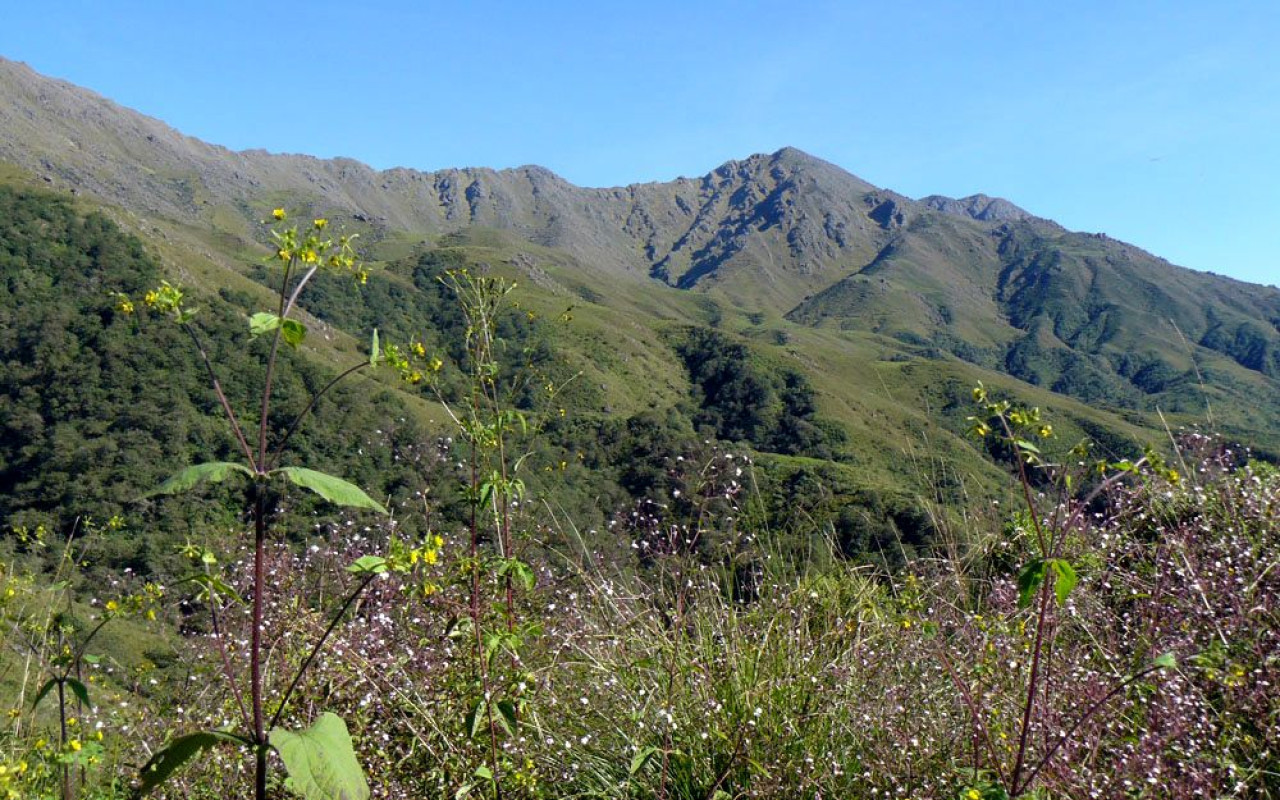 Reserva Nacional El Nogalar de Los Toldos. Foto: argentina.gob.ar