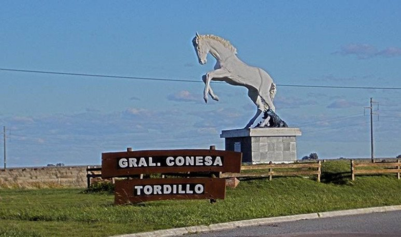 Tordillo. Foto serargentino.com