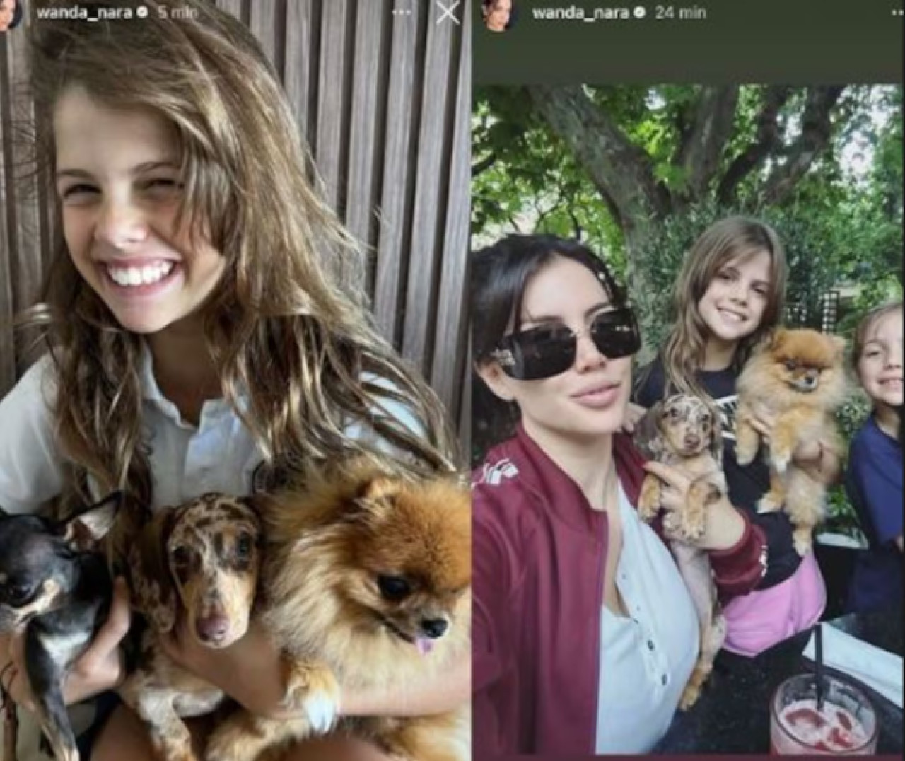 Los perros de Wanda Nara. Foto captura Instagram @wanda_nara