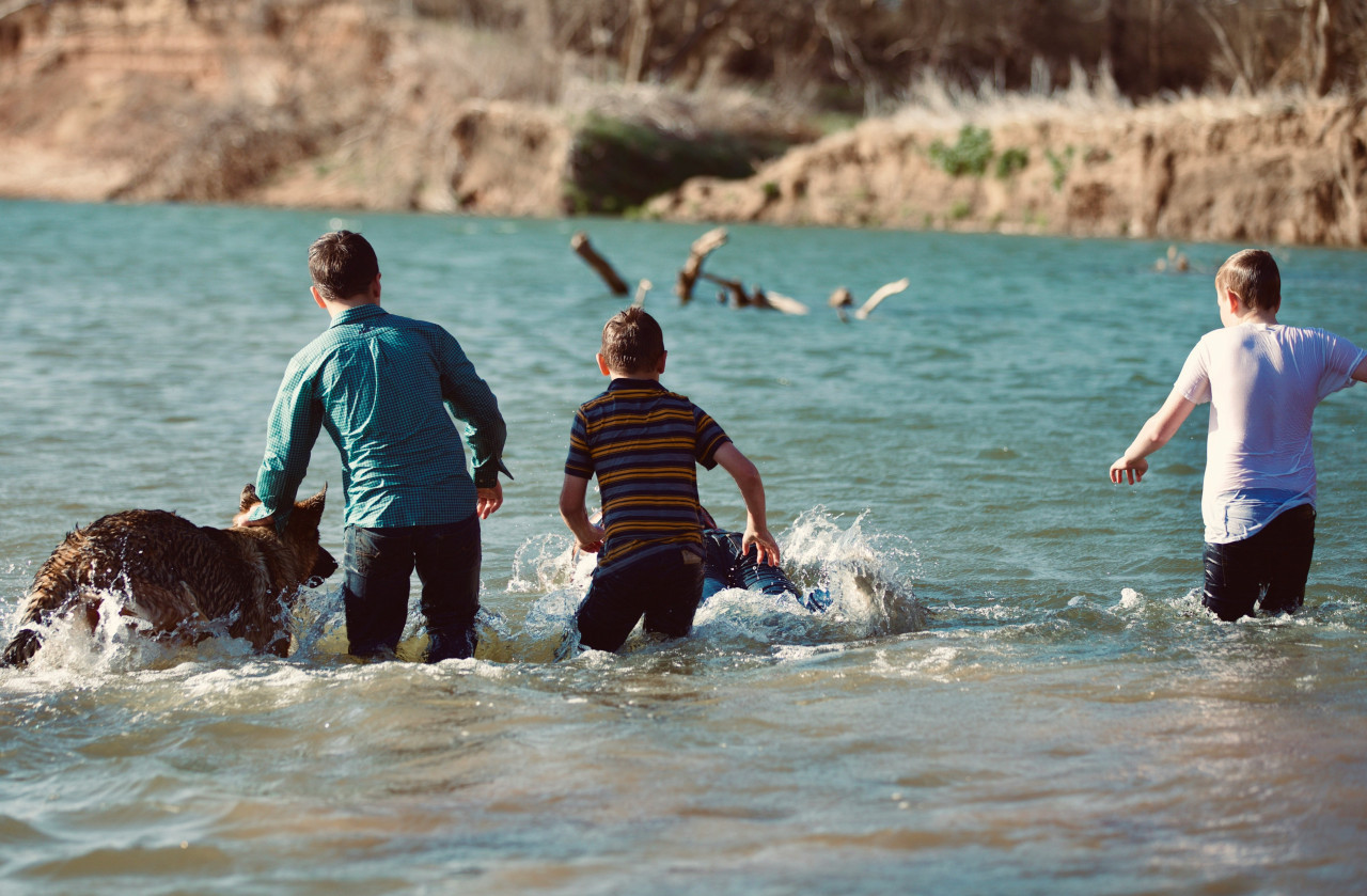 Jugar con perros, una actividad muy recomendada. Foto: Unsplash.