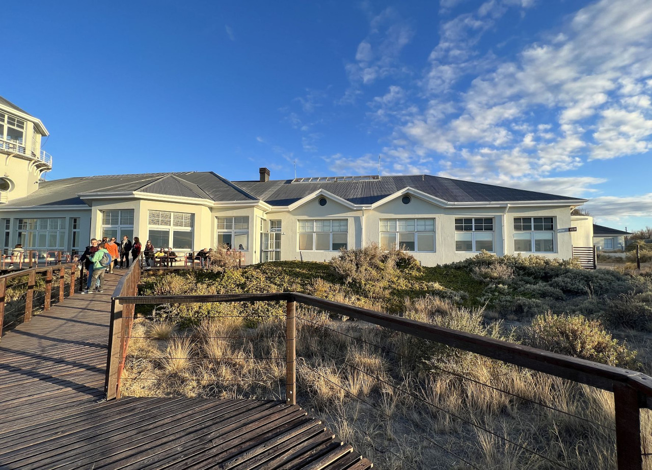 Avistaje de ballenas en El Doradillo, Puerto Madryn, Chubut. Foto: Pato Daniele