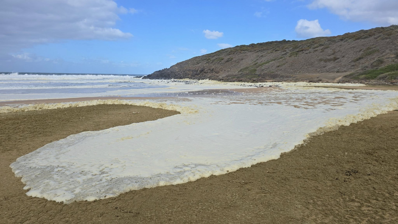 Misteriosa espuma y peces muertos en playas de Australia. Foto: Facebook/Anthony Rowland