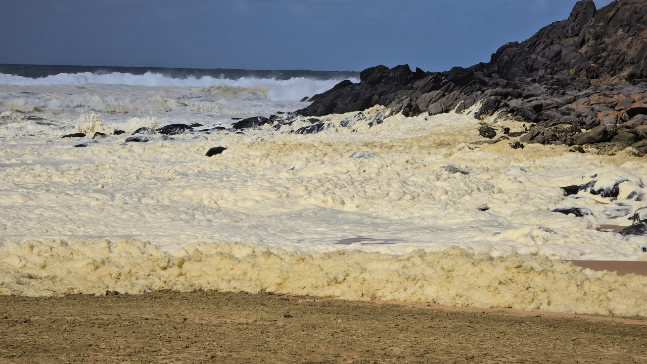 Misteriosa espuma y peces muertos en playas de Australia. Foto: Facebook/Anthony Rowland